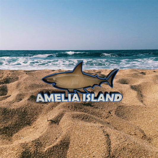 Shark Tooth Display